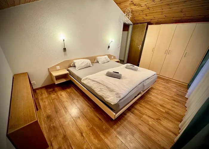 公寓 Zentrale Mit 3 Zimmern 萨斯费